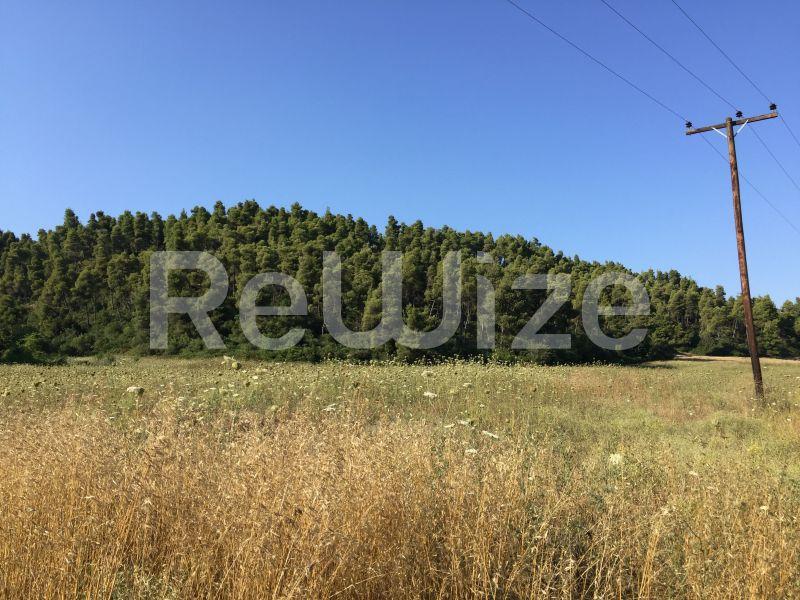 Photo 10,Landscape,SALE,Land,Field,4500sqm,€100,000,Elani