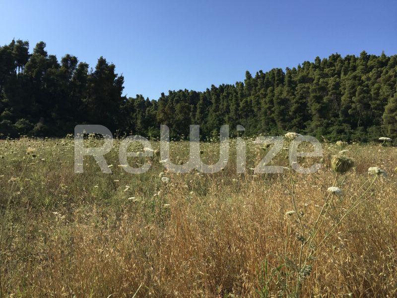 Photo 17,Landscape,SALE,Land,Field,4500sqm,€100,000,Elani
