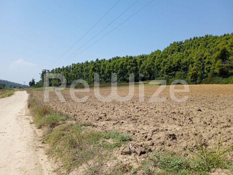 Photo 20,Landscape,SALE,Land,Field,4500sqm,€100,000,Elani