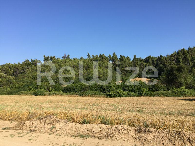 Photo 1,Landscape,SALE,Land,Field,4500sqm,€100,000,Elani