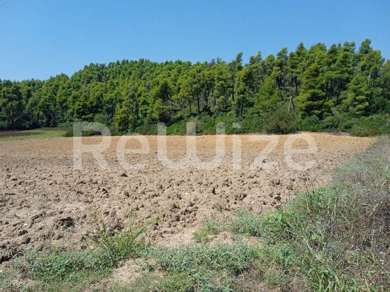 Photo 12,Landscape,SALE,Land,Field,4500sqm,€100,000,Elani