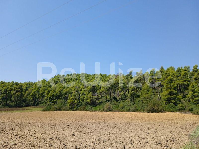 Photo 2,Landscape,SALE,Land,Field,4500sqm,€100,000,Elani