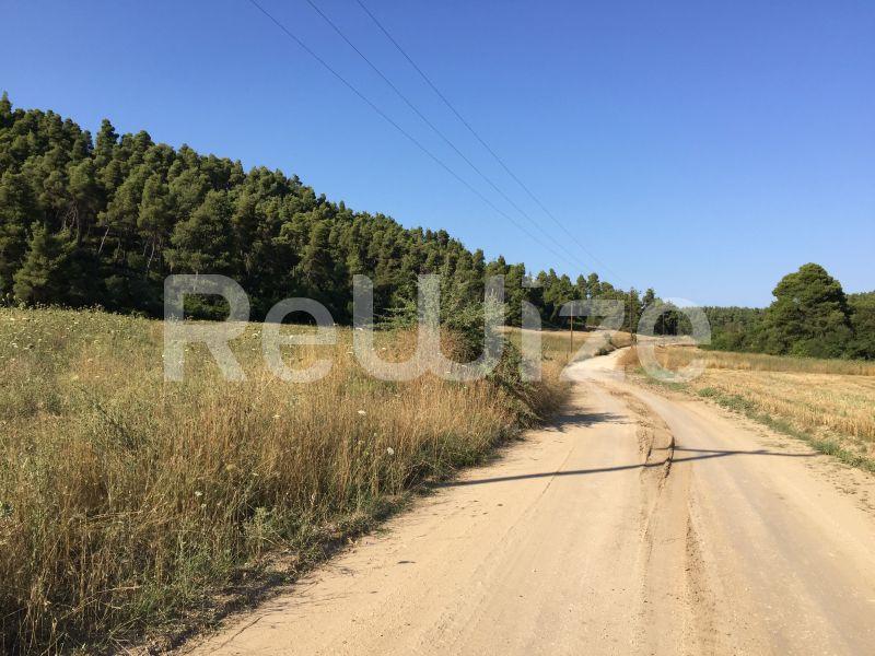 Photo 3,Landscape,SALE,Land,Field,4500sqm,€100,000,Elani