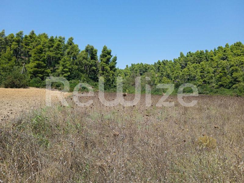 Photo 6,Landscape,SALE,Land,Field,4500sqm,€100,000,Elani