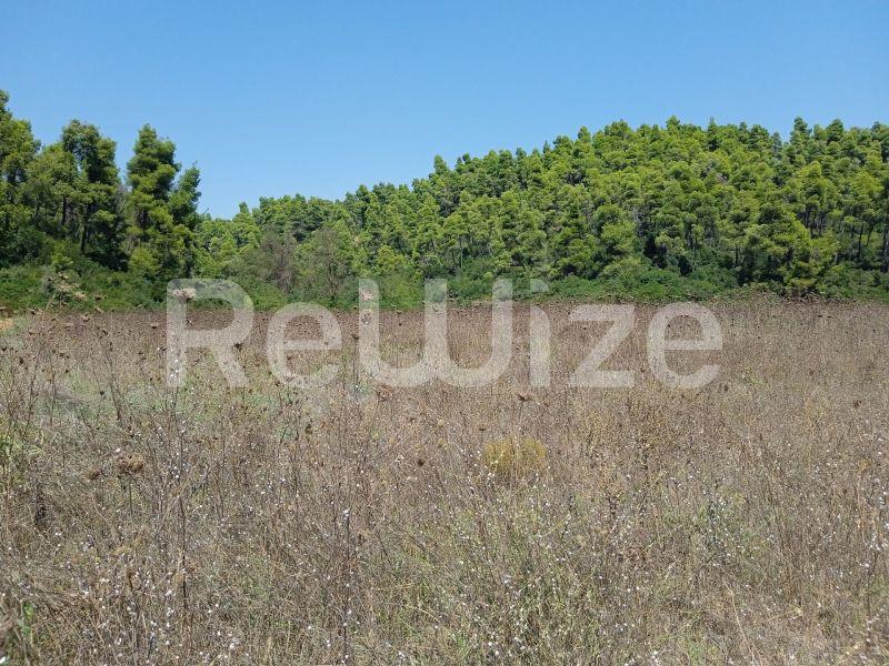 Photo 11,Landscape,SALE,Land,Field,4500sqm,€100,000,Elani