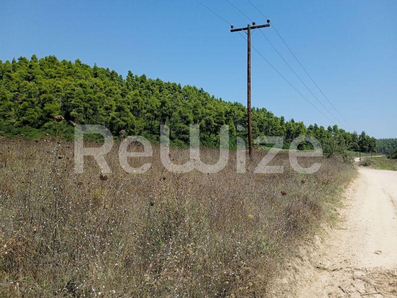 Photo 26,Landscape,SALE,Land,Field,4500sqm,€100,000,Elani