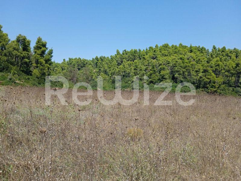 Photo 21,Landscape,SALE,Land,Field,4500sqm,€100,000,Elani