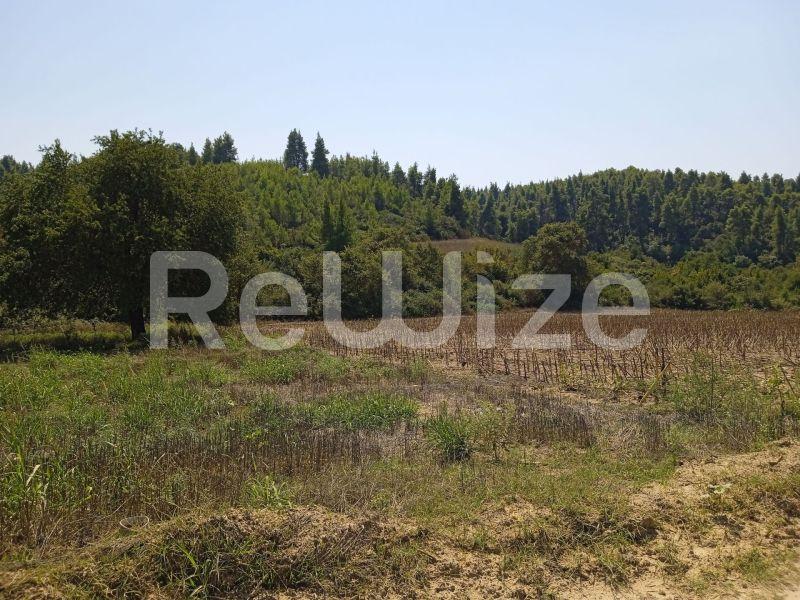 Photo 8,Landscape,SALE,Land,Field,4500sqm,€100,000,Elani