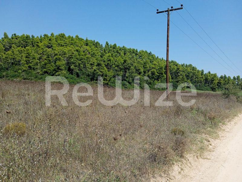 Photo 14,Landscape,SALE,Land,Field,4500sqm,€100,000,Elani