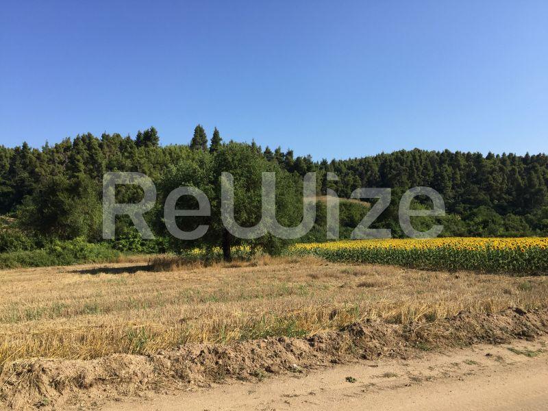 Photo 15,Landscape,SALE,Land,Field,4500sqm,€100,000,Elani