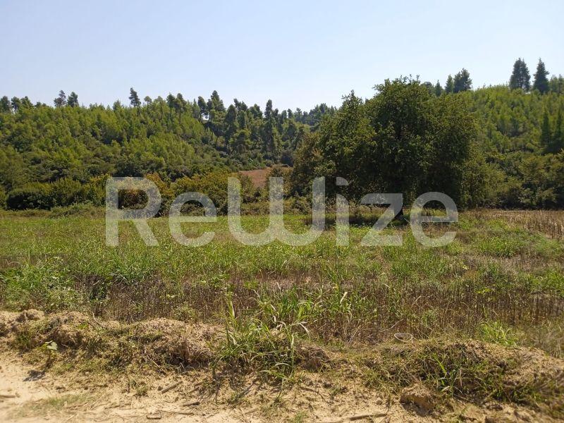 Photo 9,Landscape,SALE,Land,Field,4500sqm,€100,000,Elani