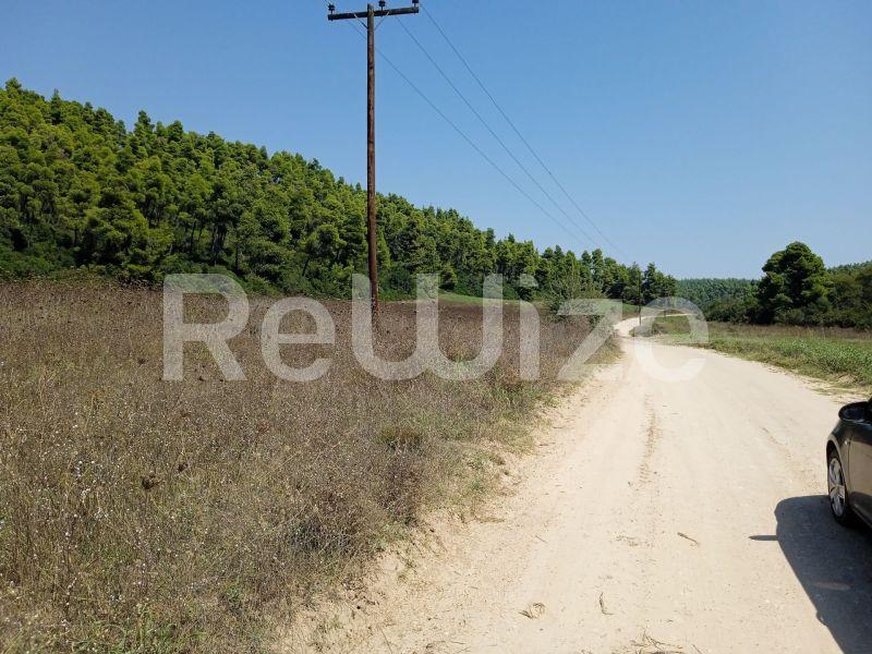 Photo 24,Landscape,SALE,Land,Field,4500sqm,€100,000,Elani