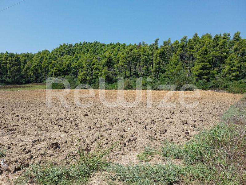 Photo 13,Landscape,SALE,Land,Field,4500sqm,€100,000,Elani