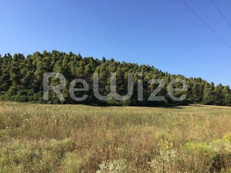 Photo 7,Landscape,SALE,Land,Field,4500sqm,€100,000,Elani