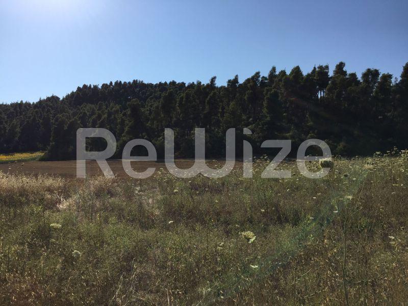 Photo 18,Landscape,SALE,Land,Field,4500sqm,€100,000,Elani