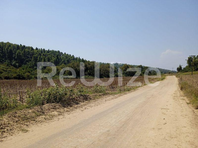 Photo 23,Landscape,SALE,Land,Field,4500sqm,€100,000,Elani