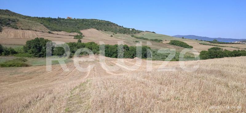 Photo 2,Landscape,SALE,Land,Field,10934sqm,€160,000,Xiropotamos