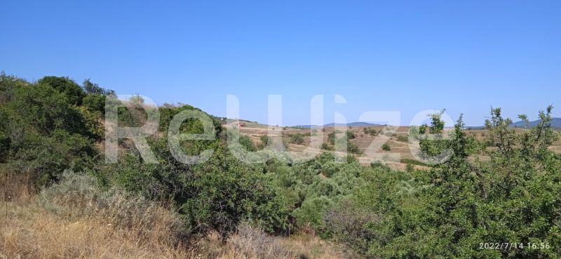 Photo 3,Landscape,SALE,Land,Field,10934sqm,€160,000,Xiropotamos