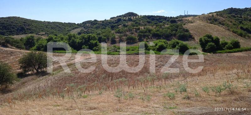 Photo 5,Landscape,SALE,Land,Field,10934sqm,€160,000,Xiropotamos