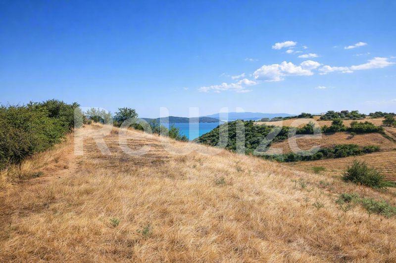 Εναέρια άποψη οικοπέδου στη Χαλκιδική με θέα στη θάλασσα, χρυσαφί χωράφια και μεσογειακή βλάστηση.