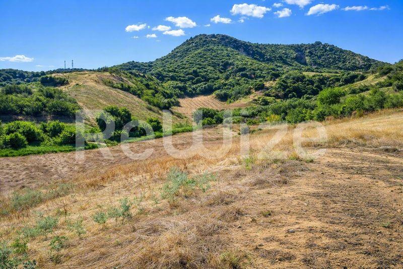 Ευρύχωρο οικόπεδο στην Χαλκιδική με λοφώδες τοπίο, πράσινη βλάστηση και θέα στα βουνά.