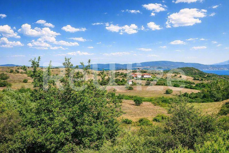 Πανοραμική θέα οικοπέδου στη Χαλκιδική με ελιές, λόφια και το Αιγαίο Πέλαγος στο βάθος.