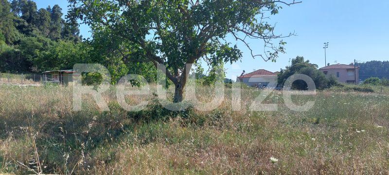 Photo 3,Τοπίο,ΠΏΛΗΣΗ,Γη,Οικόπεδο,1000τ.μ,€70,000,Φούρκα