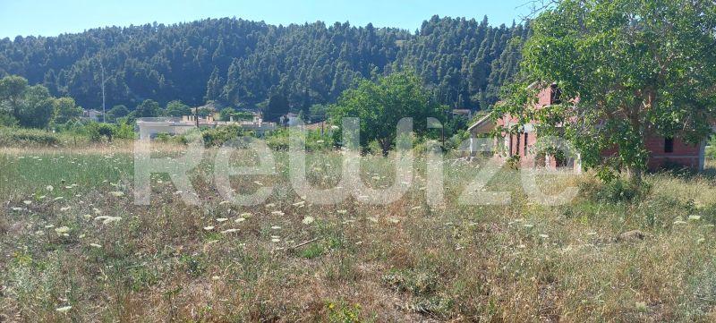 Photo 6,Τοπίο,ΠΏΛΗΣΗ,Γη,Οικόπεδο,1000τ.μ,€70,000,Φούρκα