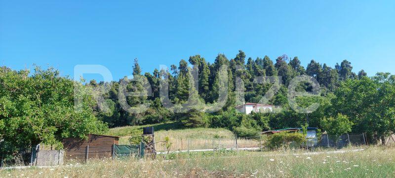 Photo 5,Θέα στο Βουνό,ΠΏΛΗΣΗ,Γη,Οικόπεδο,1000τ.μ,€70,000,Φούρκα