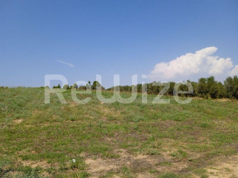 Photo 1,Landscape,SALE,Land,Field,8000sqm,€220,000,Sani