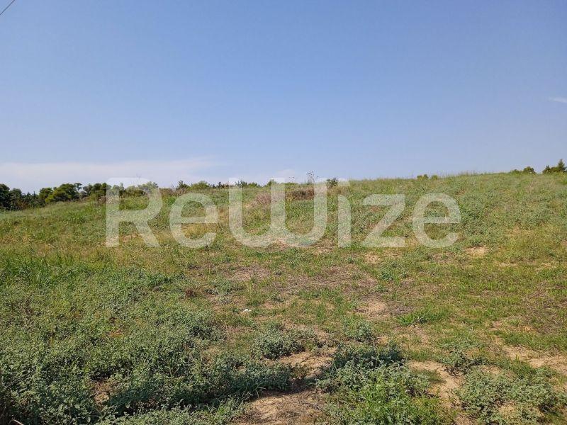 Photo 4,Landscape,SALE,Land,Field,8000sqm,€220,000,Sani