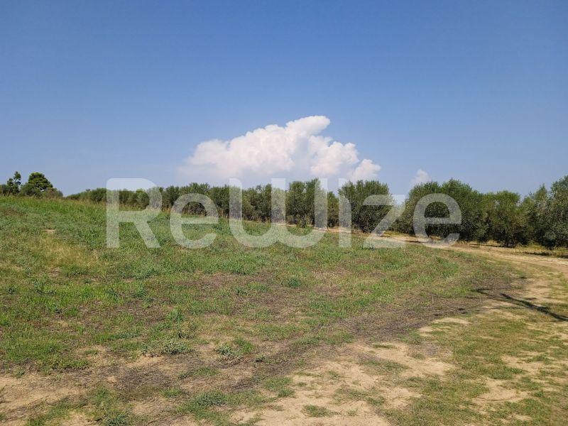 Photo 2,Landscape,SALE,Land,Field,8000sqm,€220,000,Sani