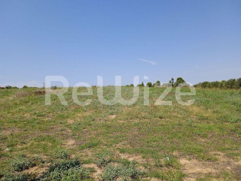 Photo 3,Landscape,SALE,Land,Field,8000sqm,€220,000,Sani