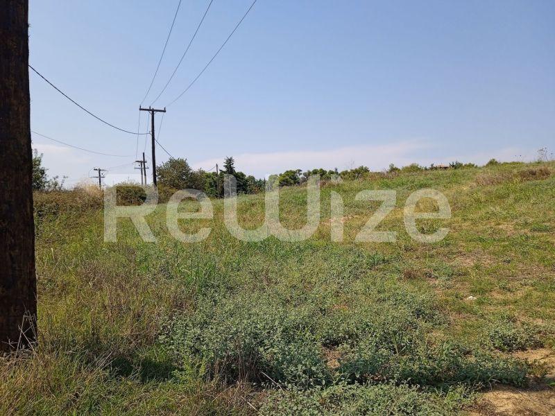 Photo 5,Landscape,SALE,Land,Field,8000sqm,€220,000,Sani