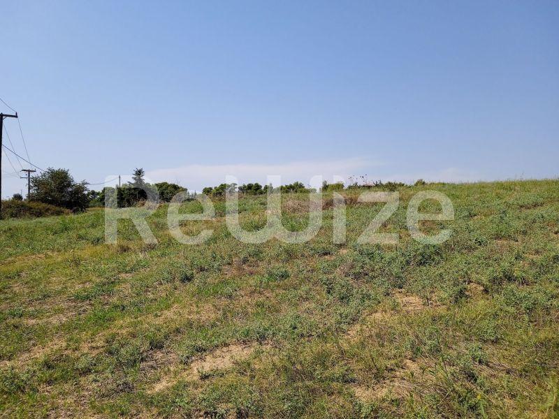 Photo 8,Landscape,SALE,Land,Field,8000sqm,€220,000,Sani