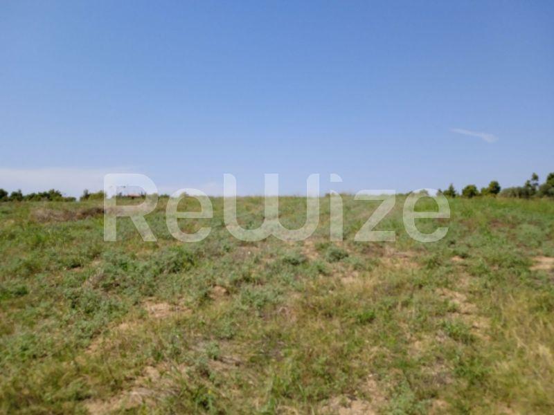 Photo 7,Landscape,SALE,Land,Field,8000sqm,€220,000,Sani