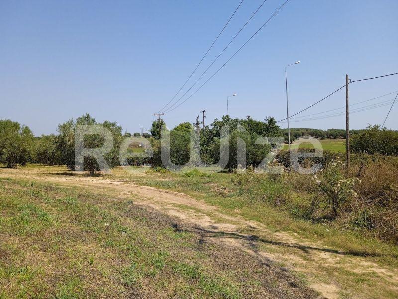 Photo 11,Landscape,SALE,Land,Field,8000sqm,€220,000,Sani