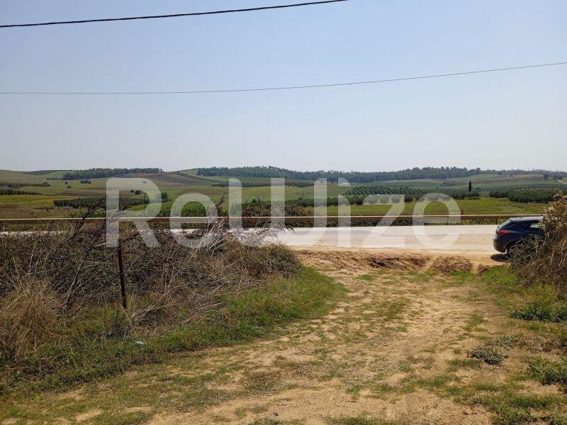 Photo 10,Landscape,SALE,Land,Field,8000sqm,€220,000,Sani