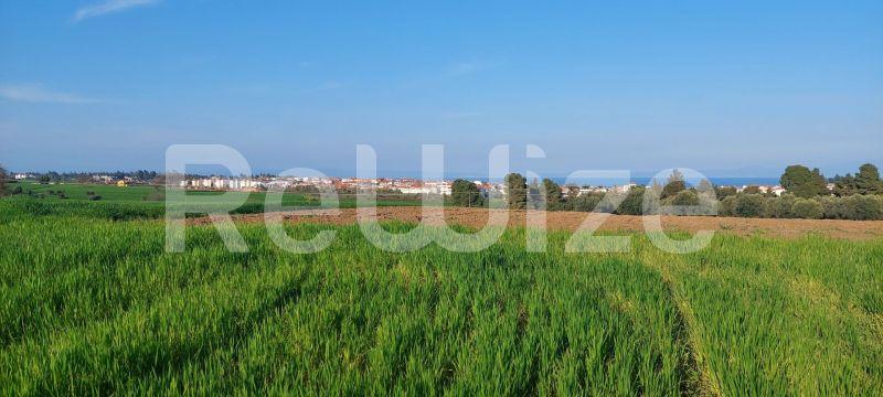 Photo 7,Θέα στη θάλασσα,ΠΏΛΗΣΗ,Γη,Αγροτεμάχιο,4000τ.μ,€215,000,Καλλιθέα