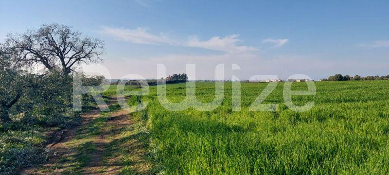 Photo 8,Τοπίο,ΠΏΛΗΣΗ,Γη,Αγροτεμάχιο,4000τ.μ,€215,000,Καλλιθέα