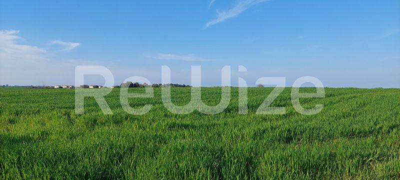 Photo 5,Τοπίο,ΠΏΛΗΣΗ,Γη,Αγροτεμάχιο,4000τ.μ,€215,000,Καλλιθέα