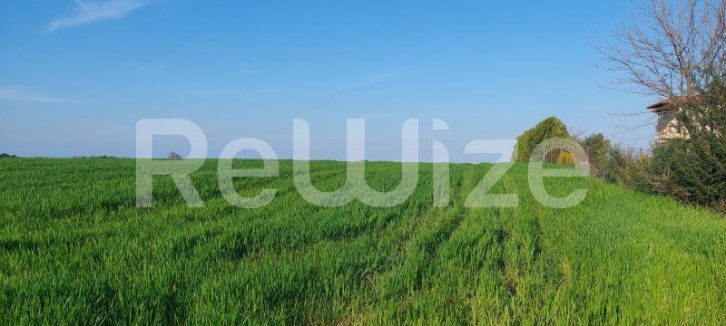 Photo 9,Τοπίο,ΠΏΛΗΣΗ,Γη,Αγροτεμάχιο,4000τ.μ,€215,000,Καλλιθέα