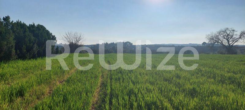 Photo 2,Τοπίο,ΠΏΛΗΣΗ,Γη,Αγροτεμάχιο,4000τ.μ,€215,000,Καλλιθέα