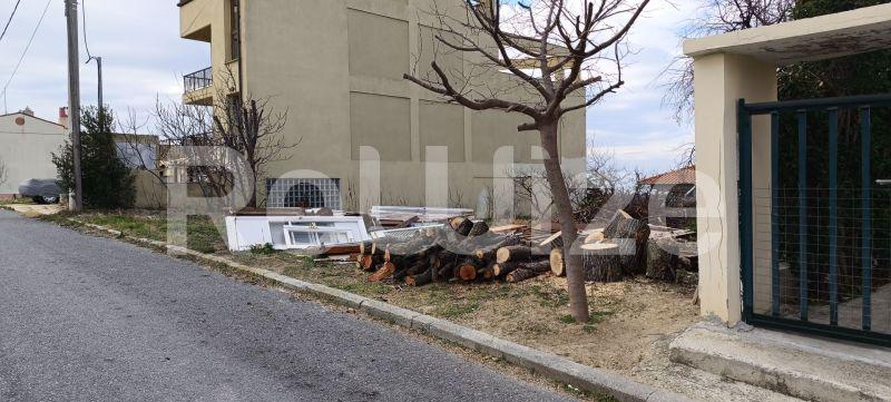 Photo 4,Εξωτερική,ΠΏΛΗΣΗ,Γη,Οικόπεδο,372τ.μ,€80,000,Καλλικράτεια