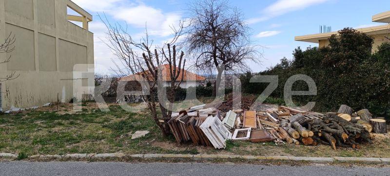 Photo 6,Κήπος,ΠΏΛΗΣΗ,Γη,Οικόπεδο,372τ.μ,€80,000,Καλλικράτεια