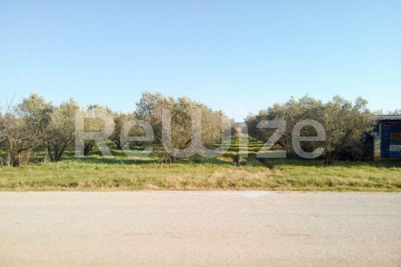 Photo 2,Εξωτερική,ΠΏΛΗΣΗ,Γη,Αγροτεμάχιο,5000τ.μ,€150,000,Παραλία Διονυσίου