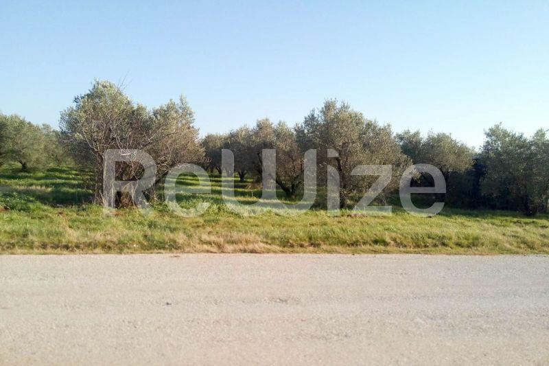 Photo 1,Εξωτερική,ΠΏΛΗΣΗ,Γη,Αγροτεμάχιο,5000τ.μ,€150,000,Παραλία Διονυσίου