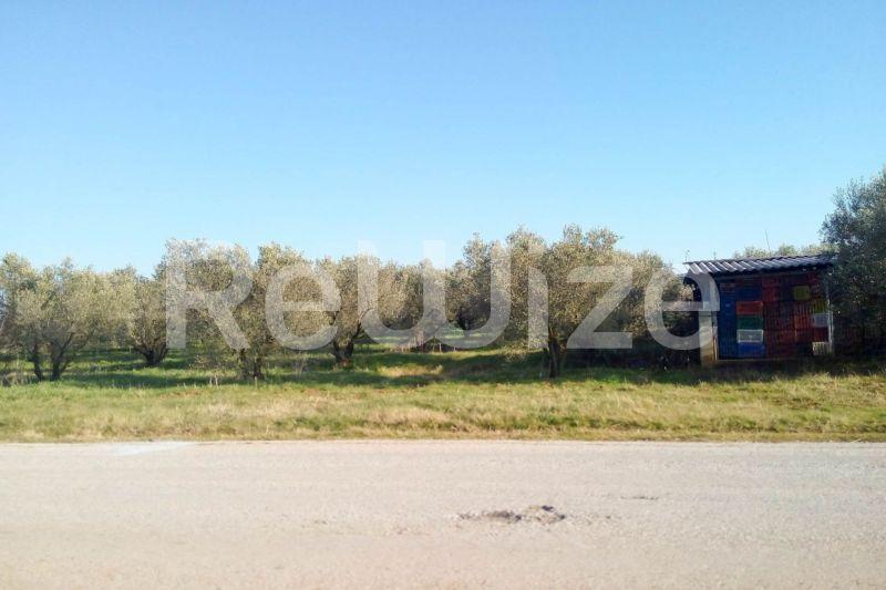 Photo 9,Εξωτερική,ΠΏΛΗΣΗ,Γη,Αγροτεμάχιο,5000τ.μ,€150,000,Παραλία Διονυσίου