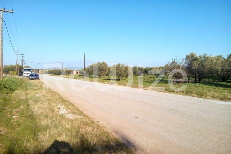 Photo 10,Εξωτερική,ΠΏΛΗΣΗ,Γη,Αγροτεμάχιο,5000τ.μ,€150,000,Παραλία Διονυσίου