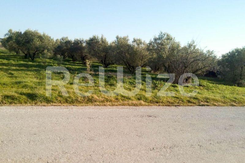 Photo 5,Εξωτερική,ΠΏΛΗΣΗ,Γη,Αγροτεμάχιο,5000τ.μ,€150,000,Παραλία Διονυσίου